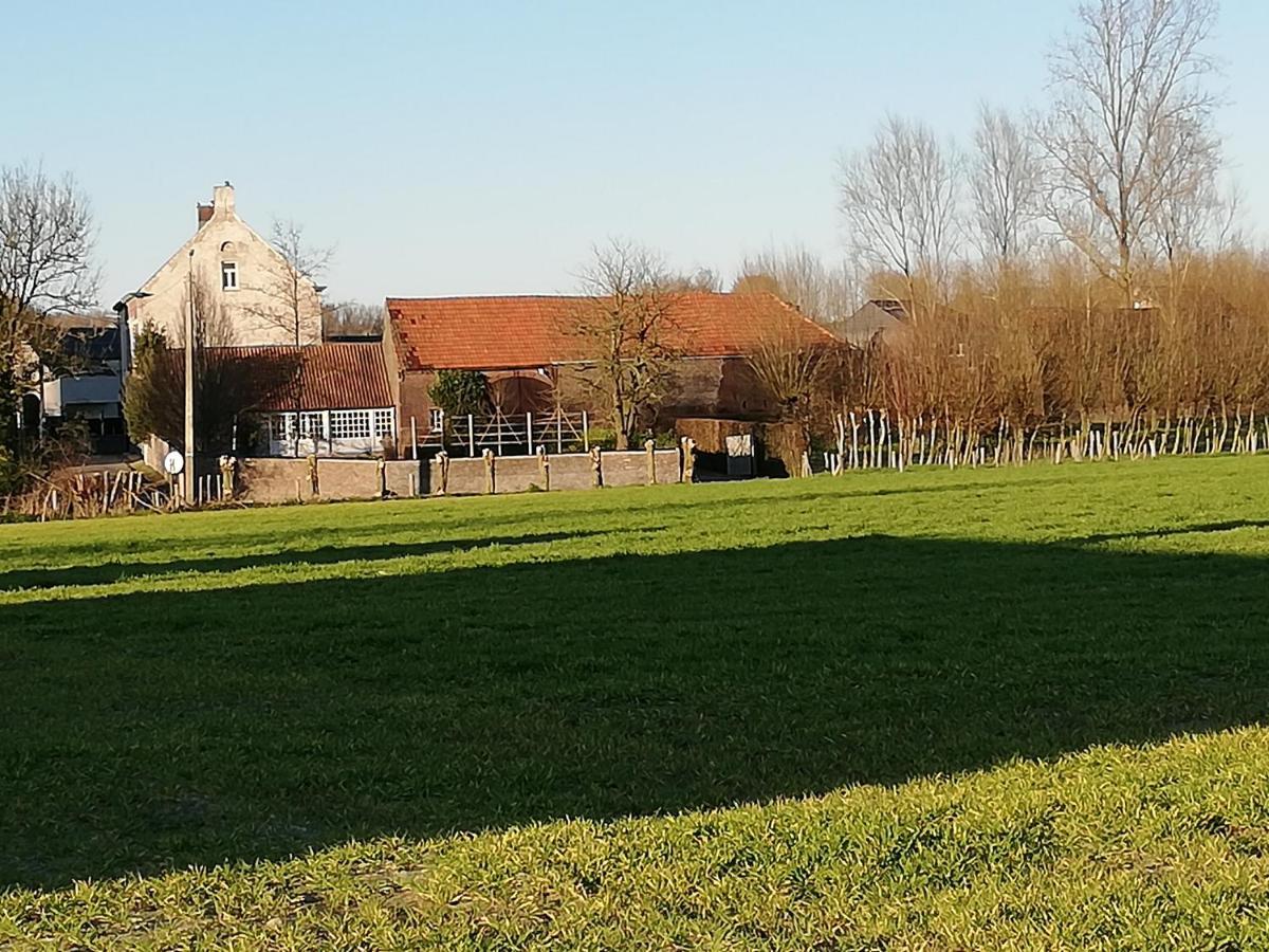 Bed and Breakfast Hofstede Ter Biest Zwalm Exterior foto